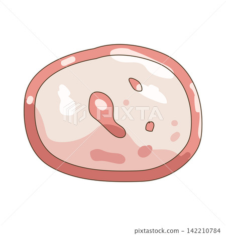 Illustration of ham slice Illustration of ham slice 142210784