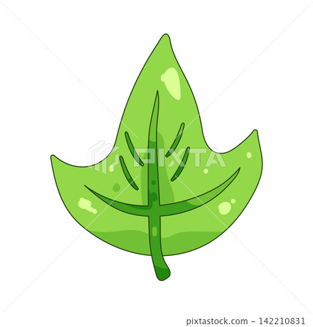 Illustration of nature leaf Illustration of nature leaf 142210831