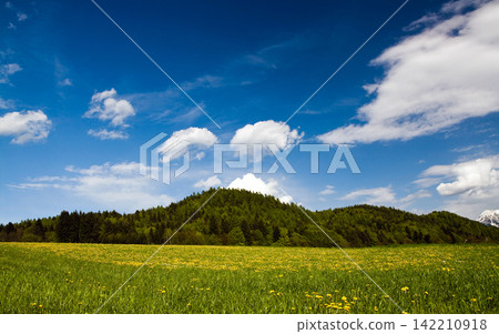 Green Meadow and Forest Hills Under Blue Sky with Clouds Green Meadow and Forest Hills Under Blue Sky with Clouds 142210918