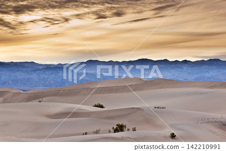 Desert Sand Dunes and Mountain Range at Golden Sunset Desert Sand Dunes and Mountain Range at Golden Sunset 142210991