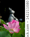 A guardian rabbit riding on a lotus flower 142211080