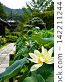 White lotus flowers and a three-story pagoda 142211244