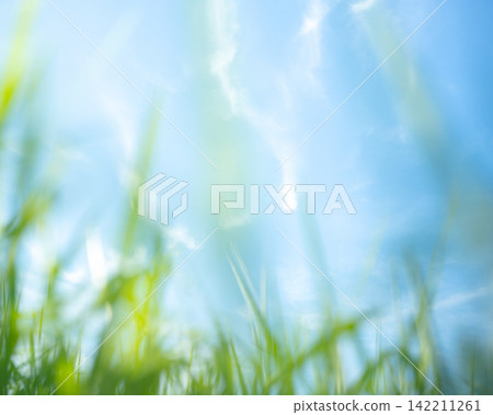 夏日的草和清爽的夏日天空,蒜山高原 夏日的草和清爽的夏日天空,蒜山高原 142211261