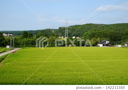 日本鄉村的鄉村景觀 日本鄉村的鄉村景觀 142211385