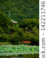 Lotus flowers at Osawa Pond in Kyoto 142211746