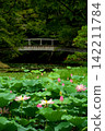 Lotus flowers at Osawa Pond in Kyoto 142211784