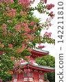 Crape myrtle and pagoda 142211810