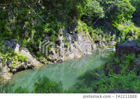 [Tokyo] Hatonosu Valley in summer 142211889