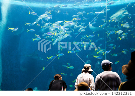 水族館的大坦克 水族館的大坦克 142212351