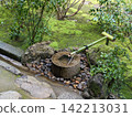 A water basin surrounded by fresh greenery 142213031