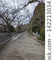 The way of philosophy 142213034