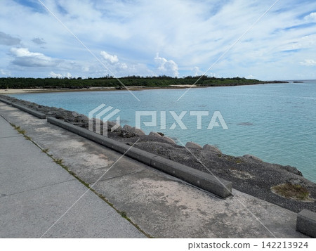 Road to the sea 142213924