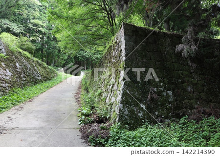 岩村城遺址 岩村城遺址 142214390