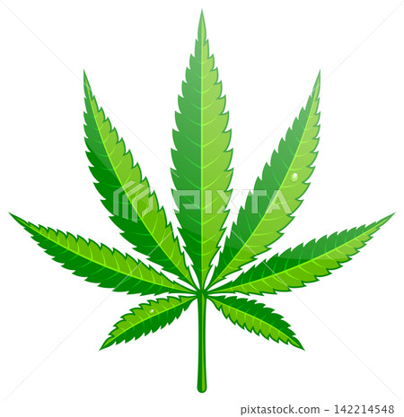 Cannabis Hemp Leaf Flat Icon Cannabis Hemp Leaf Flat Icon 142214548