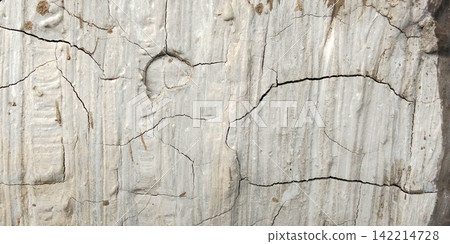A weathered and severely cracked white concrete wall. A weathered and severely cracked white concrete wall. 142214728