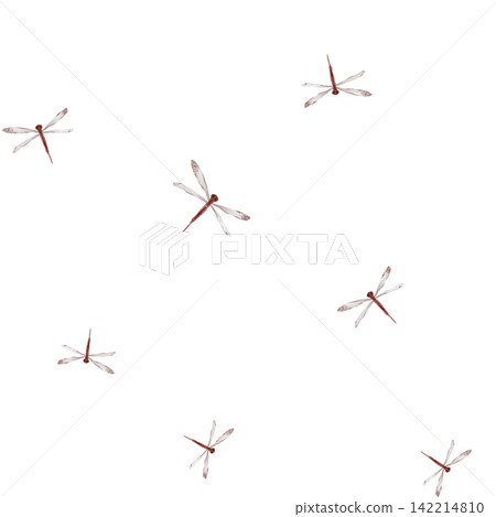 Seamless pattern with hand painted watercolor illustration of scattered rust terracotta dragonflies with translucent veined wings floating on white background. Repeating continuous design with insect Seamless pattern with hand painted watercolor illustration of scattered rust terracotta dragonflies with translucent veined wings floating on white background. Repeating continuous design with insect 142214810
