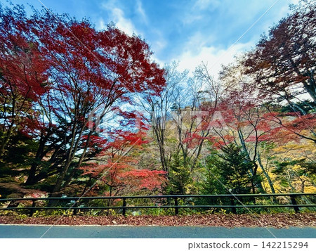 The vibrant autumn foliage of the mountains under a blue sky. The vibrant autumn foliage of the mountains under a blue sky. 142215294