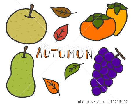 Colorful Fruit Illustration Set - Autumn Colorful Fruit Illustration Set - Autumn 142215432