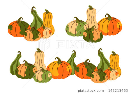 Autumn pumpkin piles and horizontal border set featuring a variety of colorful squashes, gourds, and pumpkins in a flat doodle vector style isolated on a white background. Autumn pumpkin piles and horizontal border set featuring a variety of colorful squashes, gourds, and pumpkins in a flat doodle vector style isolated on a white background. 142215463