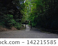 Torii in Mizonokuchi Cave 142215585