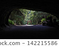 Mizonokuchi cave 142215586