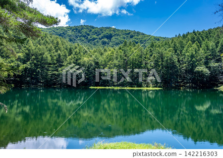 Mishaka Pond in summer, Chino City, Nagano Prefecture Mishaka Pond in summer, Chino City, Nagano Prefecture 142216303