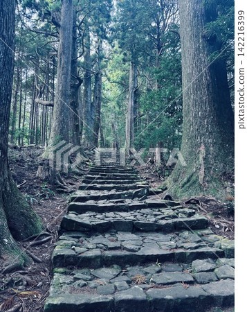 熊野古道與森林 142216399