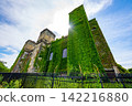 The first-class grandstand at the former Negishi Racecourse in Yokohama City. In summer, it is covered with green ivy. 142216880