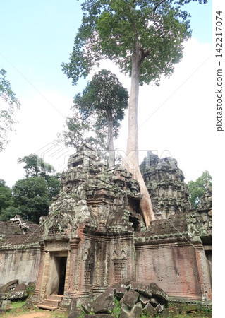 Angkor Wat Ta Prohm Angkor Wat Ta Prohm 142217074
