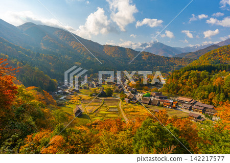 白川鄉，世界遺產，秋葉 [岐阜縣] 142217577