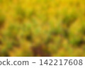 Abstract blurred yellow and green nature bokeh background 142217608