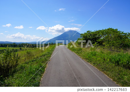 從海邊山丘上看到的羊蹄山。 從海邊山丘上看到的羊蹄山。 142217683
