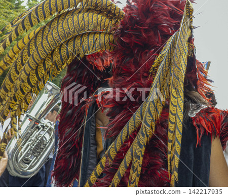 Close up of vibrant festival costume with red feathers and striped plumage during street parade Close up of vibrant festival costume with red feathers and striped plumage during street parade 142217935