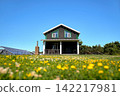 Modern eco-house with solar panels on a sunny lawn. 142217981