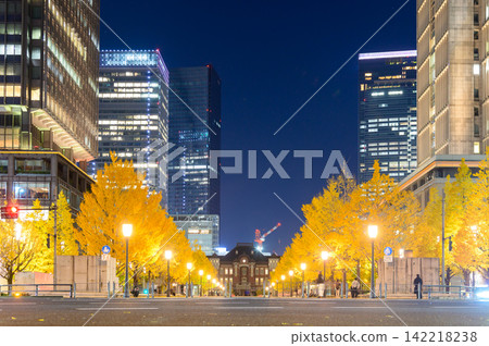 東京車站和丸之內地區兩旁燈光璀璨的銀杏樹 東京車站和丸之內地區兩旁燈光璀璨的銀杏樹 142218238
