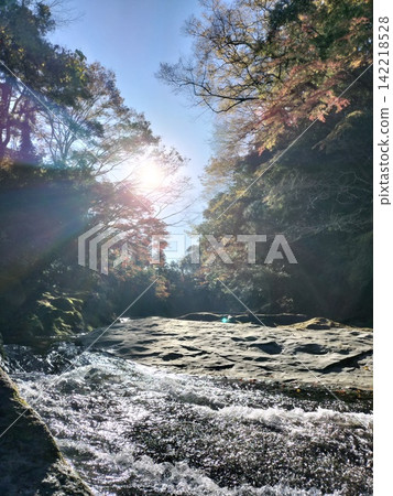 秋日溪流與色彩繽紛的森林 | 自然、季節、風景 秋日溪流與色彩繽紛的森林 | 自然、季節、風景 142218528