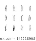 Botanical Leaf Branch Vector Icon Set 142218908