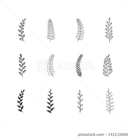 Botanical Leaf Branch Vector Icon Set Botanical Leaf Branch Vector Icon Set 142218908