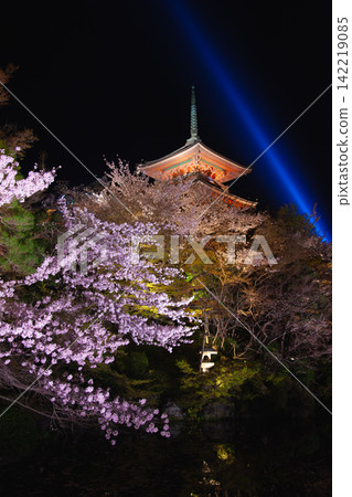 夜晚的櫻花和石燈籠，俯瞰著清水寺的三層寶塔：夢幻般的夜景。 142219085