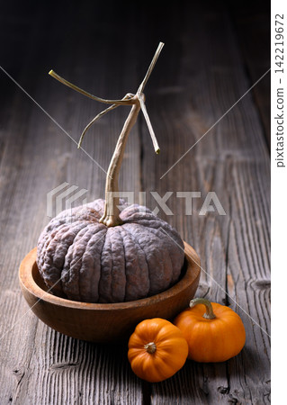 Decorative pumpkin in wooden bowl with miniature gourds in soft natural light Decorative pumpkin in wooden bowl with miniature gourds in soft natural light 142219672