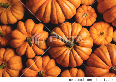 Top-down close-up of a group of orange pumpkins Top-down close-up of a group of orange pumpkins 142219708