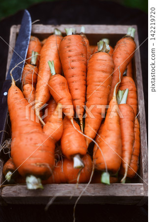 Organic carrots piled in wooden box Organic carrots piled in wooden box 142219720