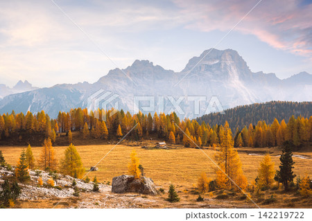 Monte Cristallo towers above golden larch forests and alpine meadows Monte Cristallo towers above golden larch forests and alpine meadows 142219722