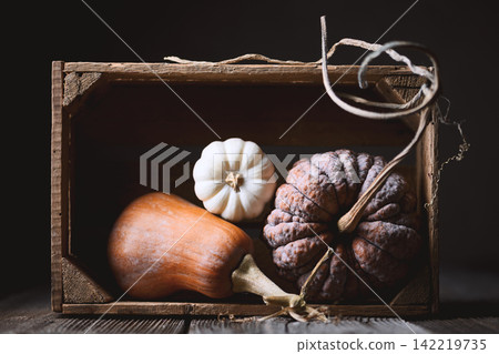 Autumn composition with three different pumpkins on wooden table 142219735