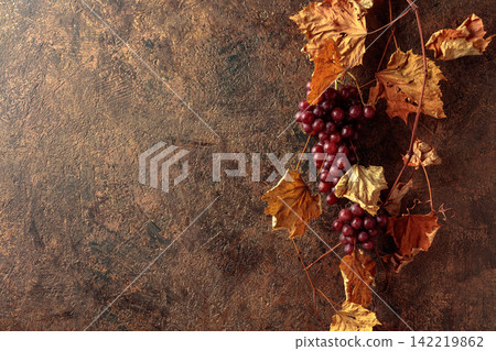Vine with dried leaves and ripe grapes. Vine with dried leaves and ripe grapes. 142219862