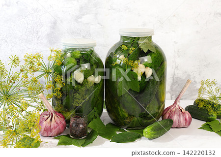 Jarred cucumbers with dill, garlic, and pickling leaves on the kitchen counter. Harvest concept. Homemade pickle recipe and ingredients. Home canning concept. Healthy and natural food. Selective focus Jarred cucumbers with dill, garlic, and pickling leaves on the kitchen counter. Harvest concept. Homemade pickle recipe and ingredients. Home canning concept. Healthy and natural food. Selective focus 142220132