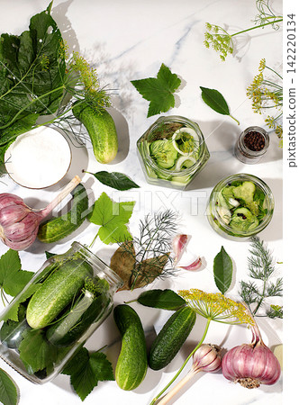 Cucumbers with dill, garlic, horseradish, pickling leaves, and pickled cucumbers in jars on the kitchen counter. Harvest concept. Recipe and ingredients for homemade pickles. Concept of home canning Cucumbers with dill, garlic, horseradish, pickling leaves, and pickled cucumbers in jars on the kitchen counter. Harvest concept. Recipe and ingredients for homemade pickles. Concept of home canning 142220134