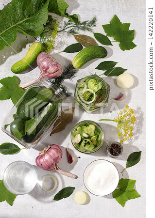 Cucumbers with dill, garlic, horseradish, pickling leaves, and pickled cucumbers in jars on the kitchen counter. Harvest concept. Recipe and ingredients for homemade pickles. Concept of home canning Cucumbers with dill, garlic, horseradish, pickling leaves, and pickled cucumbers in jars on the kitchen counter. Harvest concept. Recipe and ingredients for homemade pickles. Concept of home canning 142220141