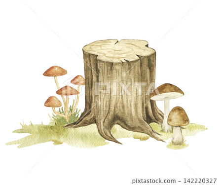 Old tree stump surrounded by woodland porcini mushrooms and grass. Watercolor hand painted forest composition for nursery decor, story illustrations and autumn themed projects. Old tree stump surrounded by woodland porcini mushrooms and grass. Watercolor hand painted forest composition for nursery decor, story illustrations and autumn themed projects. 142220327