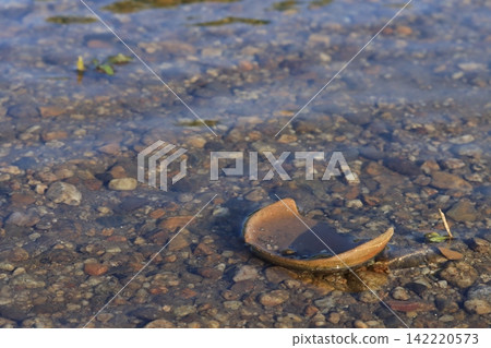 河水中的陶器 河水中的陶器 142220573
